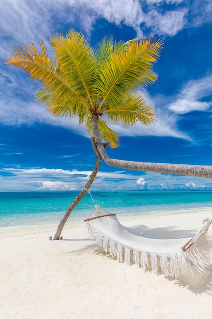 Panorama de plage tropicale comme paysage de détente d'été avec hamac de plage suspendu à un palmier, loisirs