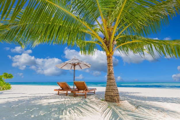 Panorama de plage tropicale avec eau turquoise et palmier, parasol de chaises. Couple lune de miel pittoresque