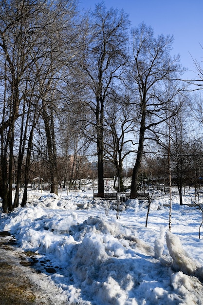 Panorama printanier de la place de la ville Fonte des neiges sous le soleil radieux