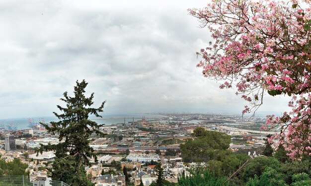 Panorama de printemps de la baie de Haïfa Israël