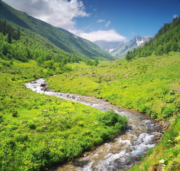 Panorama de la rivière dans la vallée de montagne