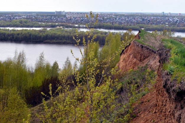 panorama sur la rivière et la forêt sur le rivage