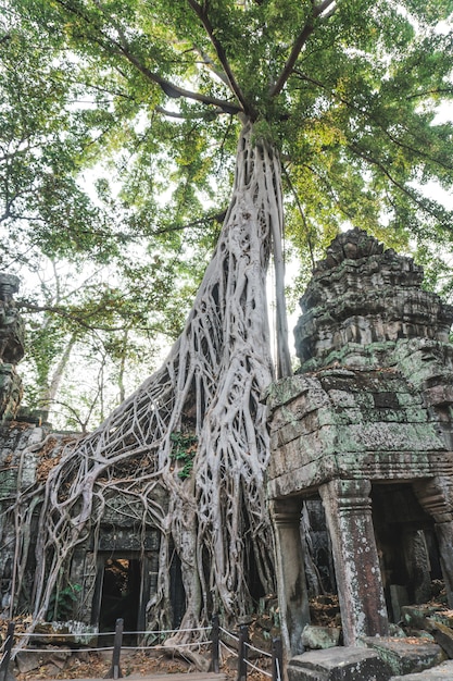 Panorama des ruines d'Angkor Wat.