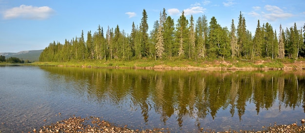 Panorama de la taïga dans le parc national