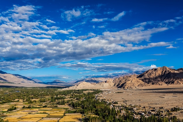 Panorama de la vallée de l'indus ladakh inde
