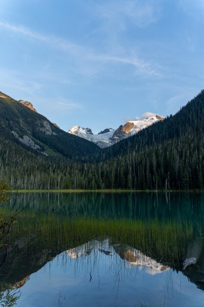 Panorama vertical du lac Joffre