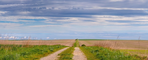 Panorama: vue rurale avec route sur le terrain et ciel pittoresque avec nuages