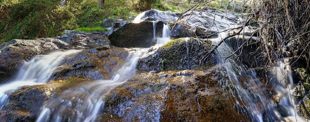 Panoramique de cascade d'eau tombant des rochers dans la forêt enchantée