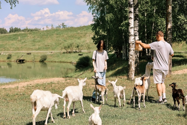 Papa et ses filles nourrissent des chèvres dans une clairière de la forêt