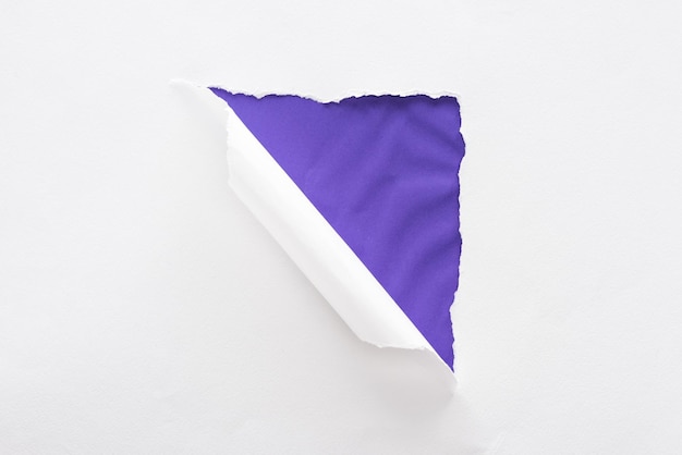 Papier blanc déchiré et roulé sur fond violet texturé coloré