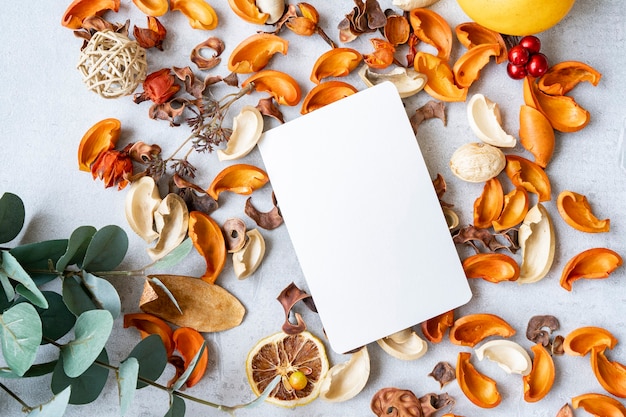 Papier blanc et plantes séchées placés sur un avion en béton