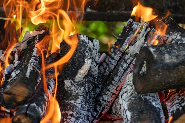 papier brûlant et bois de chauffage dans la perche de gril sur les charbons