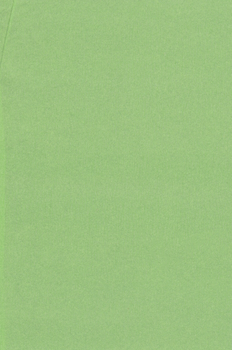 Photo papier crépon vert