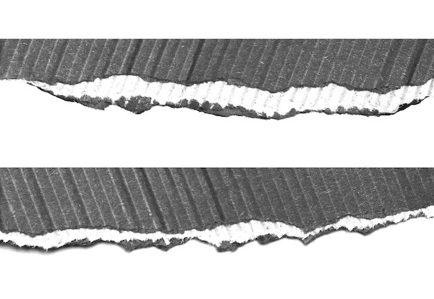 papier déchiré sur fond blanc et avoir un espace de copie pour la conception dans votre travail