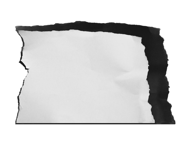 Papier déchiré isolé sur fond blanc