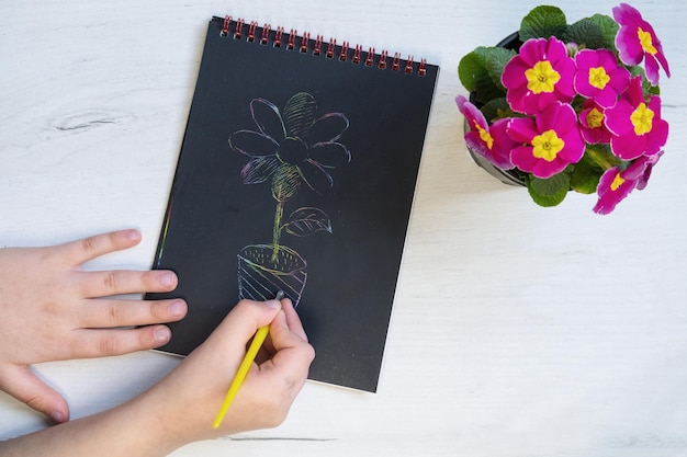 Papier à gratter avec une fleur dessus et un pot de fleur