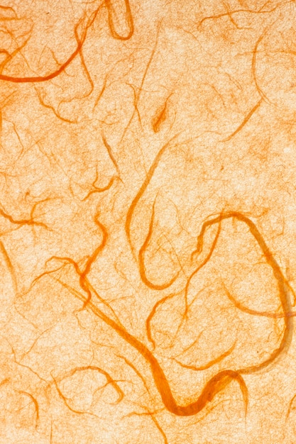 Papier de mûrier orange.