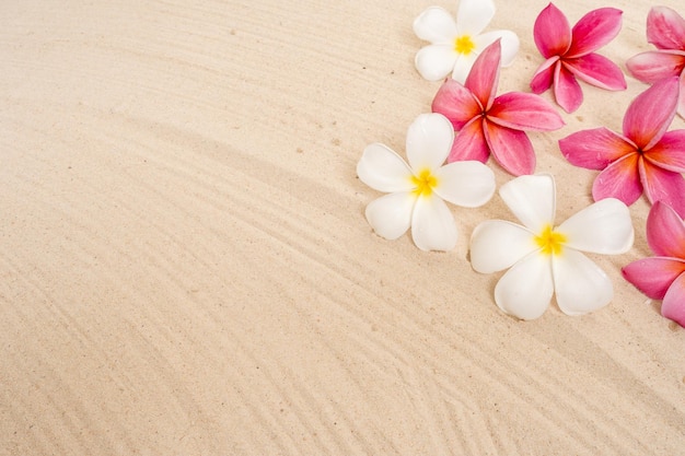 Papier peint fleurs sur le sable