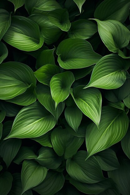 Photo papier peint un gros plan d'un tas de feuilles vertes large tir au-dessus de la tête atmosphérique couleur froide