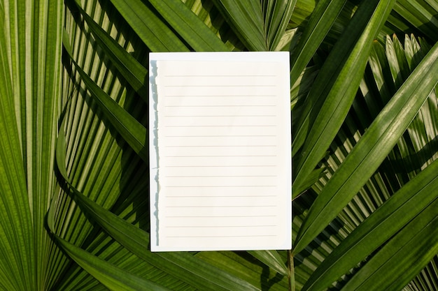 Papier vierge sur des feuilles de palmiers tropicaux