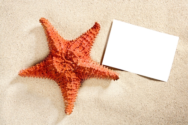 papier vierge plage sable étoile de mer vacances d&#39;été