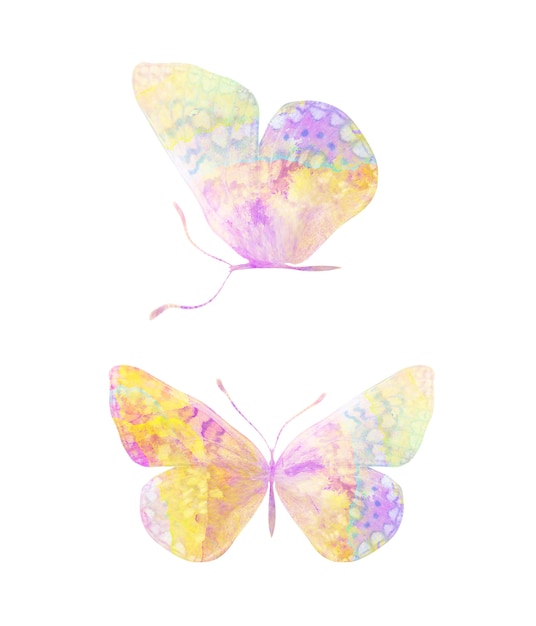 Papillon aquarelle multicolore. insecte tropical pour la conception. isolé sur fond blanc