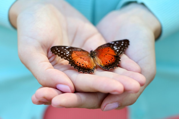 Papillon coloré en gros plan de la main féminine