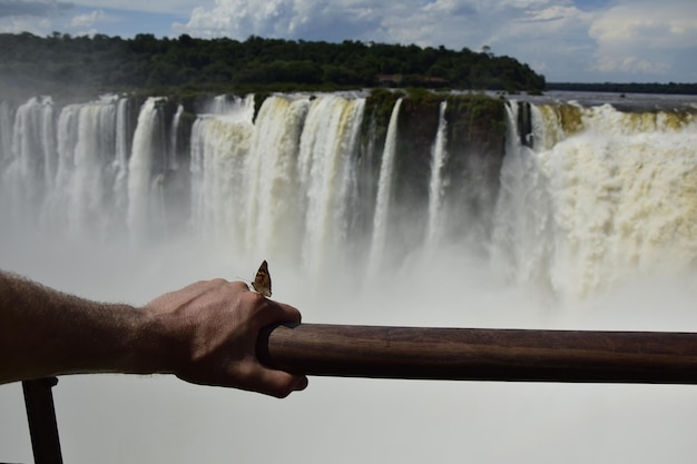 Un papillon est assis sur le bras d'un touriste dans le contexte d'une cascade Puerto Iguazu Argentine