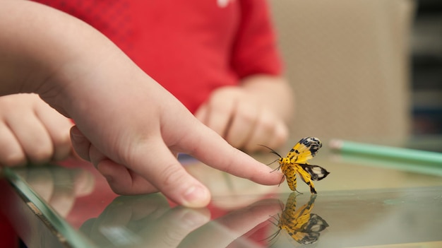 Le papillon était sur le point de s'accrocher au doigt de l'enfant levé de la table.