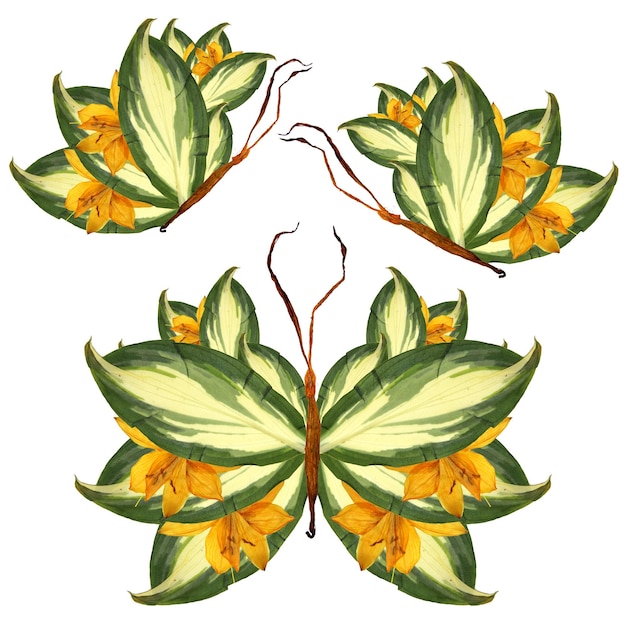Papillon floral composé de feuilles et de fleurs de pétales de lys