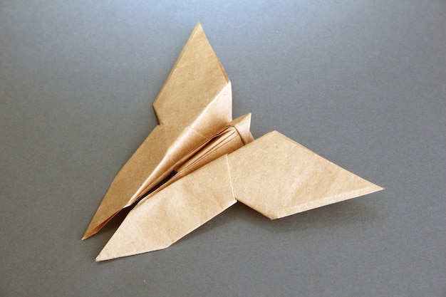 Papillon origami sur fond gris