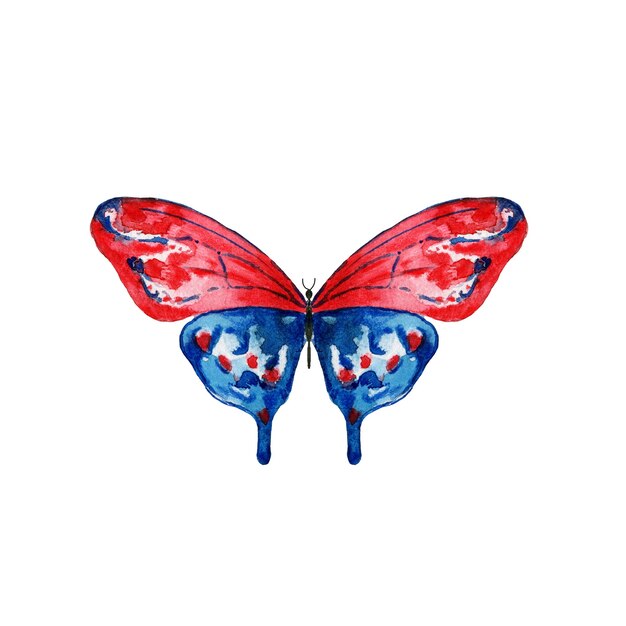 Papillon rouge et bleu aquarelle