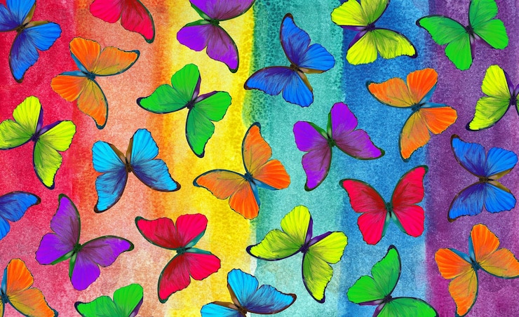 Photo papillons colorés sur un fond coloré