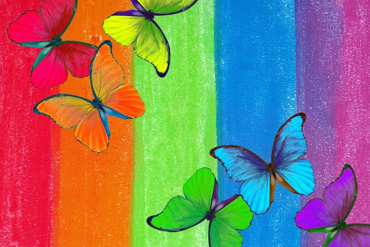 Photo papillons colorés sur un fond coloré