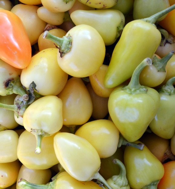 Paprika au piment mûr sur un marché à vendre