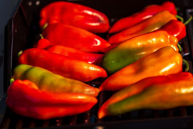 Paprika doux rouge de kapia sur le gril