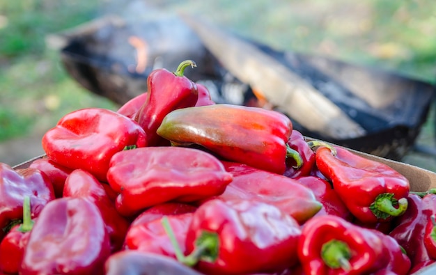 Paprika frais rouge sur la pile fermer vers le haut prêt pour le gril et la conservation