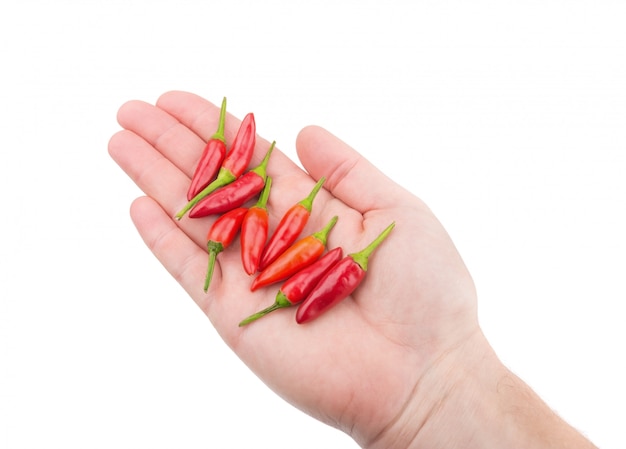 Paprika poivron rouge à la main pour la cuisson. Pour les épices.