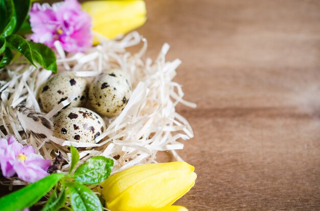 Pâques Composition d&#39;œufs et de fleurs printanières.