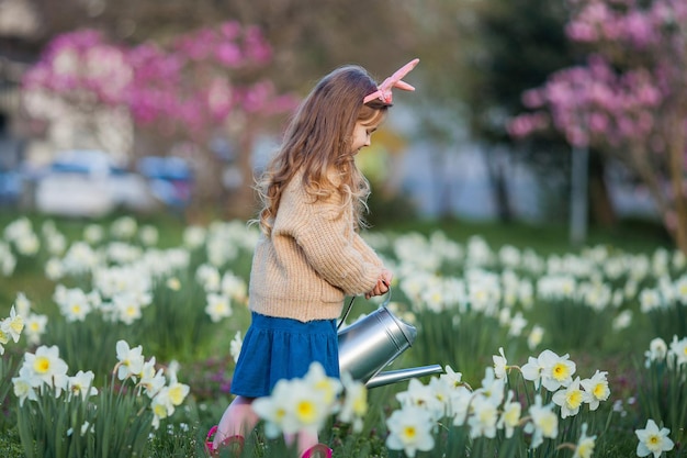 Pâques Jolie petite fille de 5 ans avec des oreilles de lapin arrose des jonquilles sur la pelouse Enfant heureux Vacances de printemps