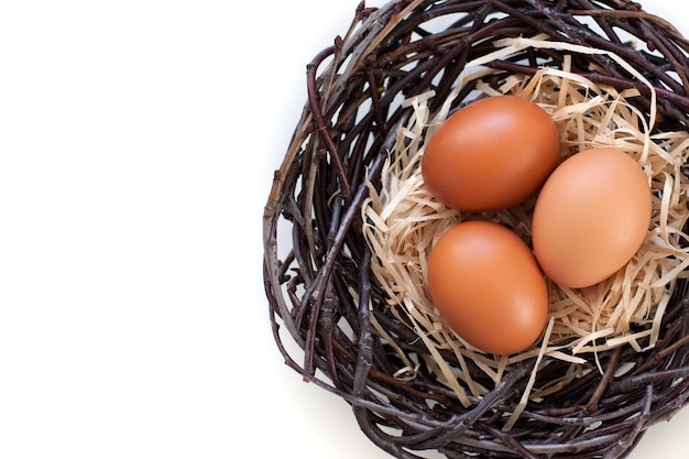 Pâques! Oeufs de poule dans un nid avec des branches, agriculture. Oeufs de Pâques sur la table dans le nid. Oeufs de Pâques beiges. Oeufs sur fond blanc. Ferme. Nourriture au nid de poulet. Alimentation équilibrée.