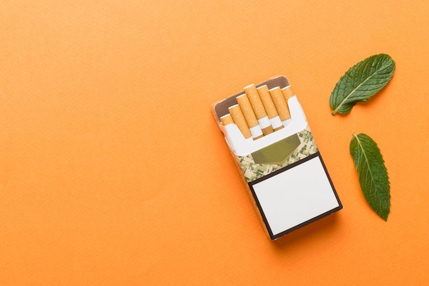 Paquet de cigarettes au menthol et de menthe fraîche sur une table colorée Vue de dessus des cigarettes au menthol à plat