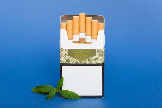 Paquet de cigarettes au menthol et de menthe fraîche sur une table colorée Vue de dessus des cigarettes au menthol à plat