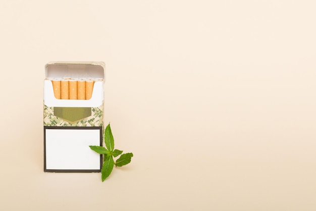 Paquet de cigarettes au menthol et de menthe fraîche sur une table colorée Vue de dessus des cigarettes au menthol à plat