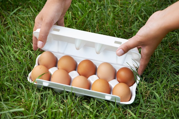 Paquet d'oeufs sur l'herbe