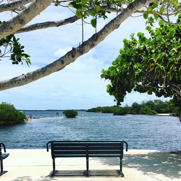 Photo par le banc du lac contre le ciel