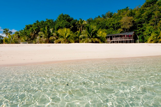 paradis tropical plage océan mer eau cristalline sable clair