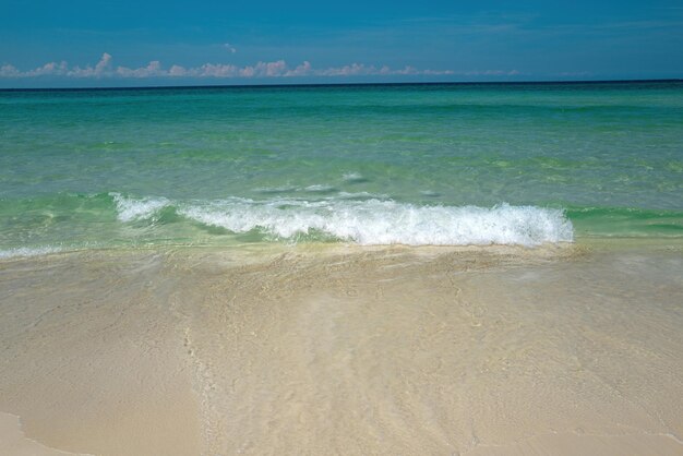 Paradise beach vague de la mer sur la plage de sable beau paysage de mer avec de l'eau turquoise avec c