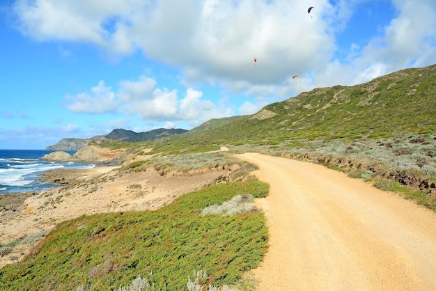 Parapentes survolant la côte d'Argentiera