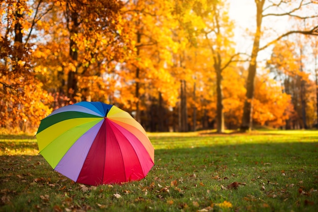 Parapluie arc-en-ciel coloré sur l'herbe en automne parc